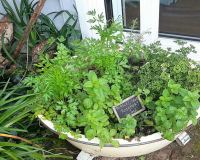 waters-edge-boathouse-herb-garden