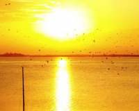 watersedge-boathouse-birds-on-sunset